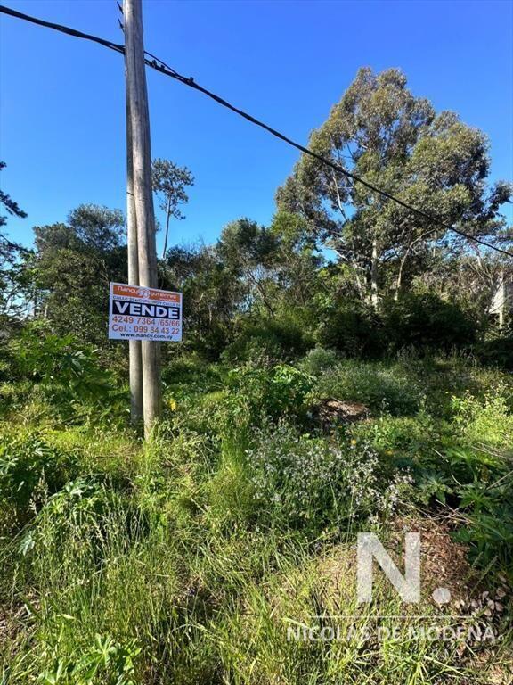 Vende terreno en Pinares ! Oportunidad