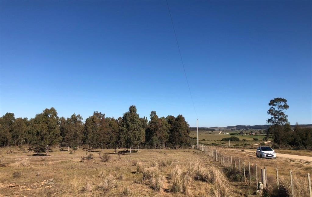 Chacra rural de 5 ha a 30 minutos de Punta del Este