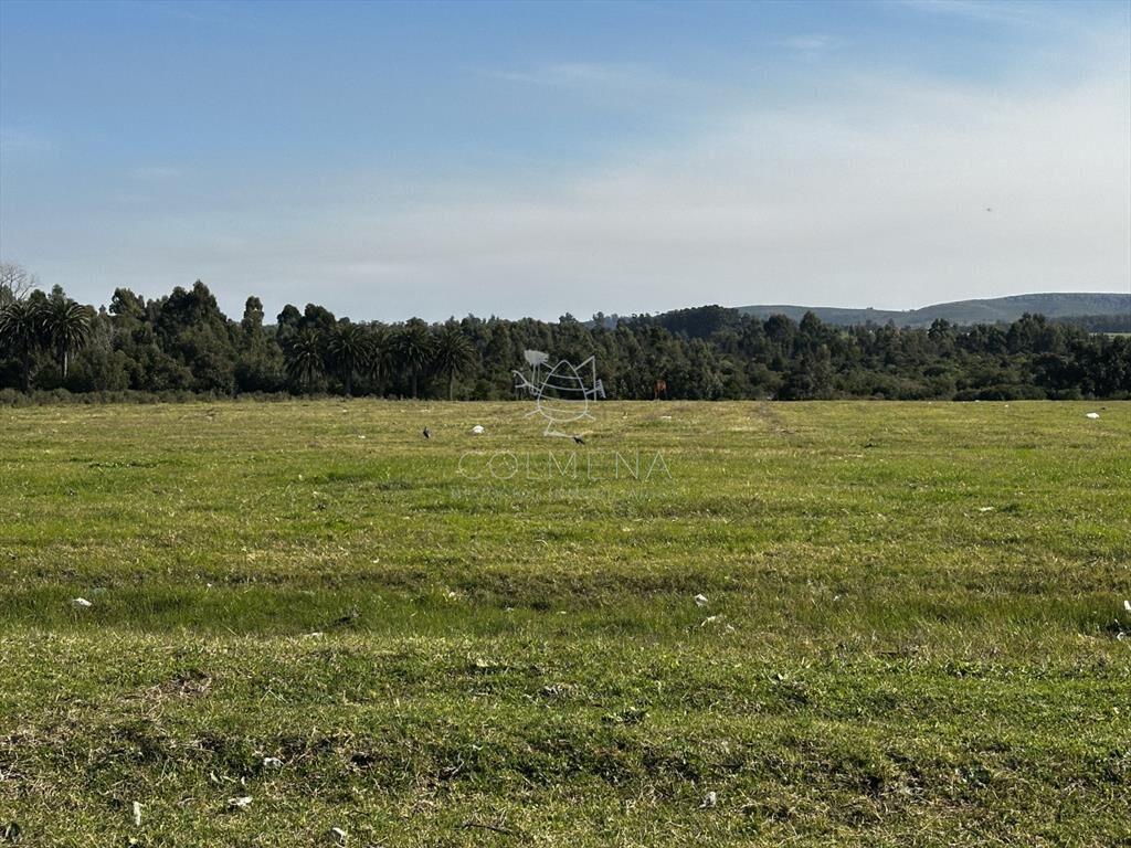 Venta lote para fraccionamiento, San Carlos