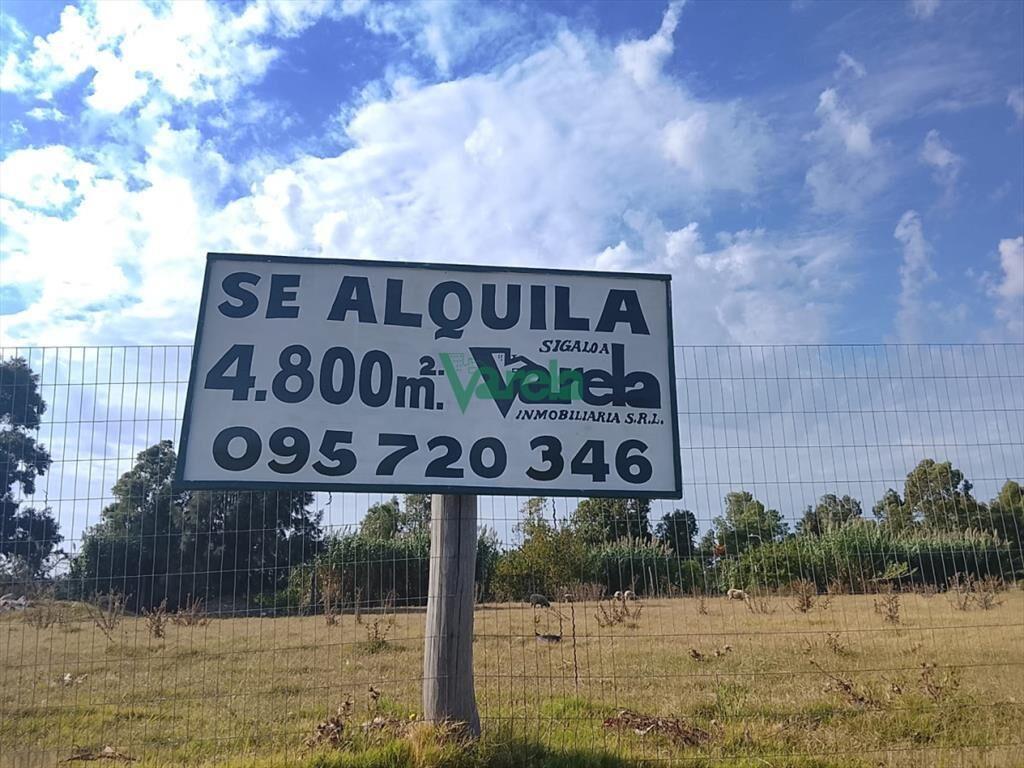 Alquiler terreno Interbalnearia de 4800 m2