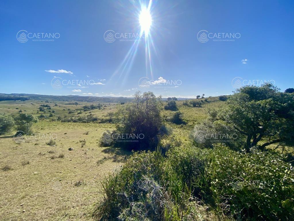 Venta chacra 5 hectáreas. Camino del Olivo,