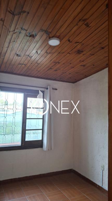 Alquiler 2 D. Pinar Norte