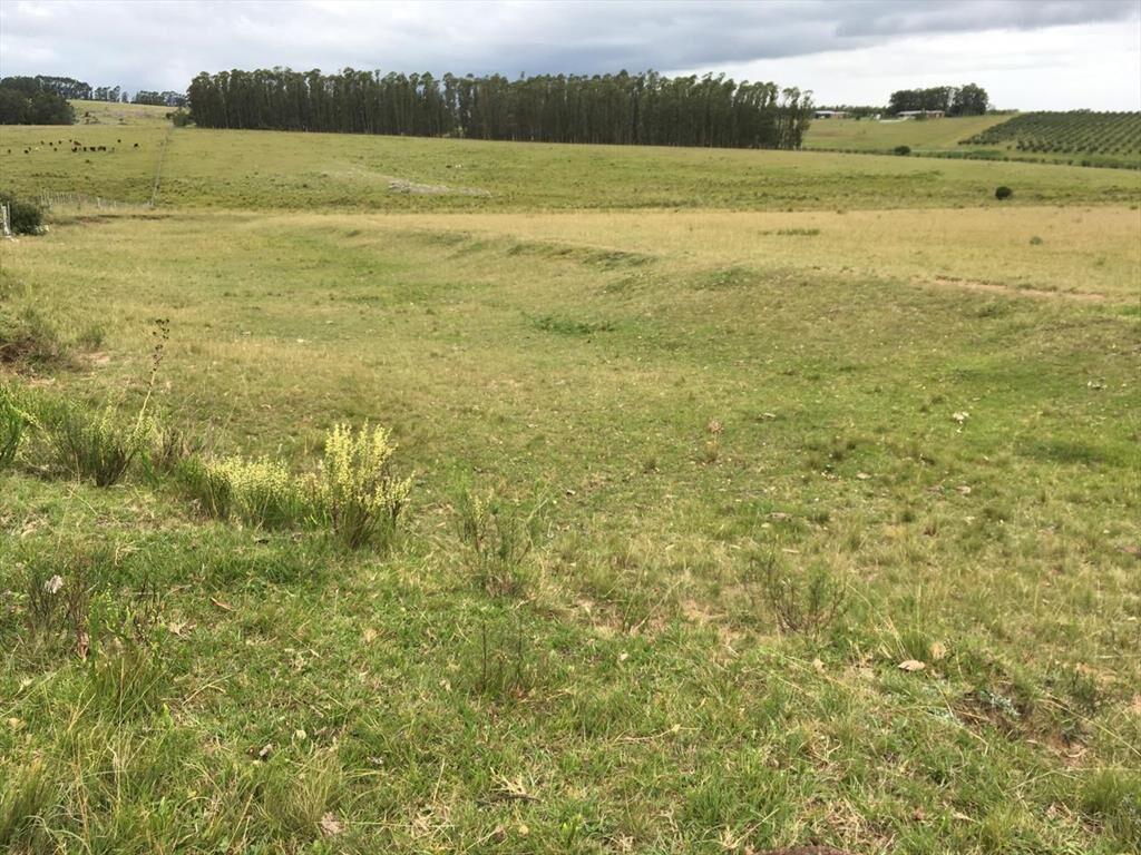 Chacra rural de 5 ha a 30 minutos de Punta del Este