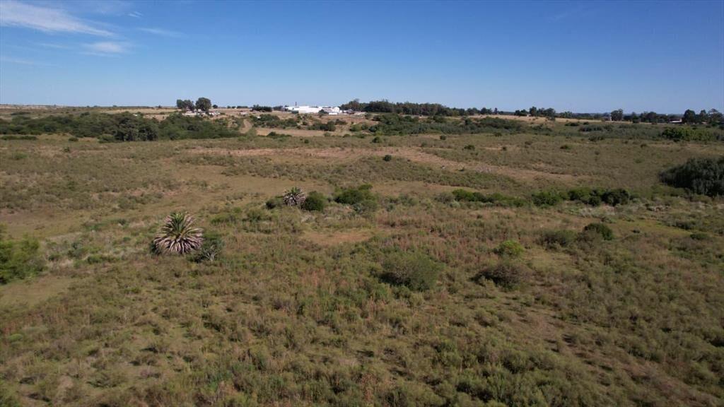 Campo en Rosario