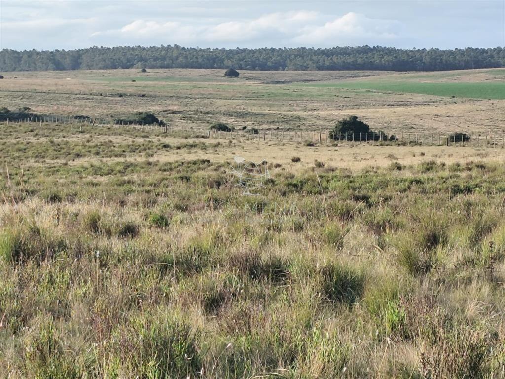 Campo en Garzon cerca de la bodegas