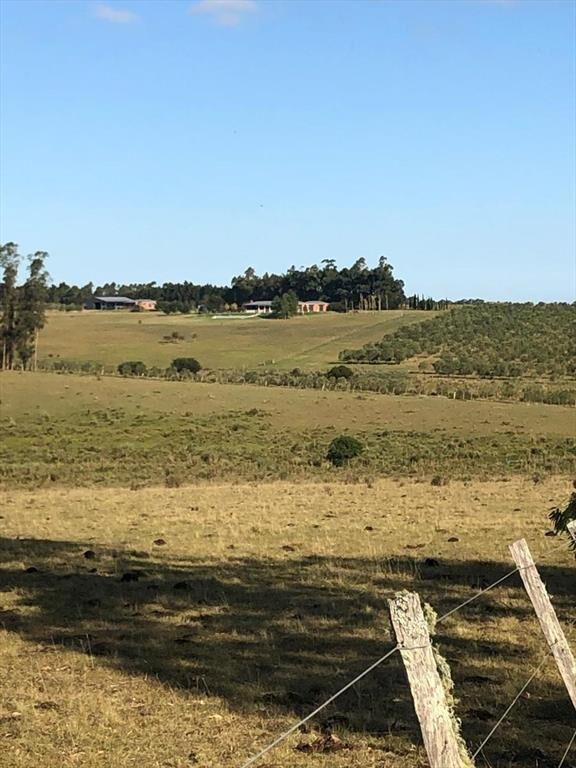 Chacra rural de 5 ha a 30 minutos de Punta del Este