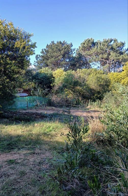 Terreno en La Paloma, La serena