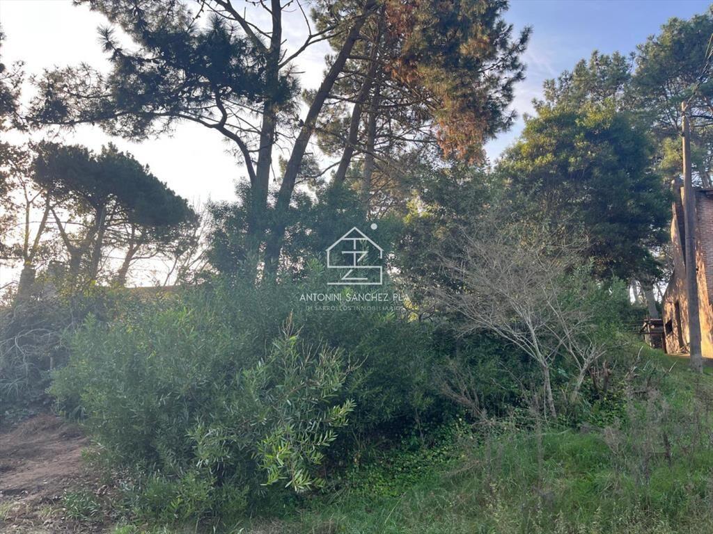 Lindo lote en venta en Pinares apto para