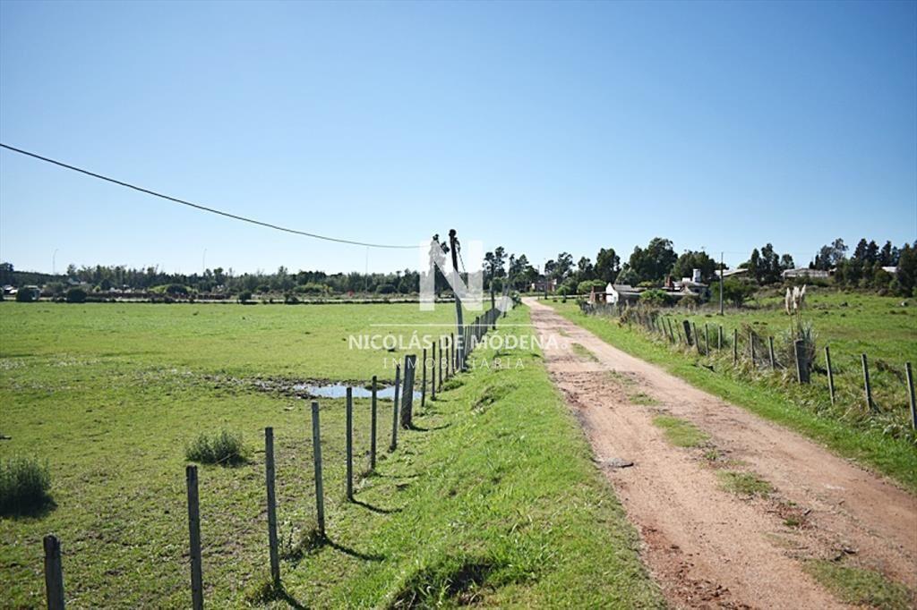 CHACRA SAN CARLOS RUTA 9