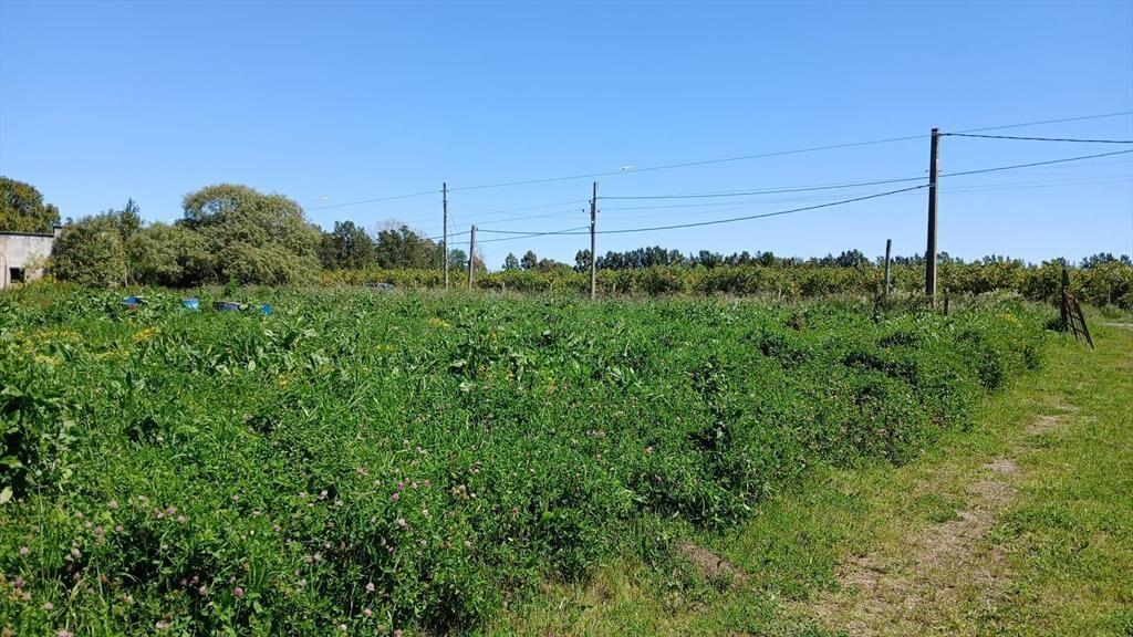 Venta de Terreno y Galpón de 1400m²