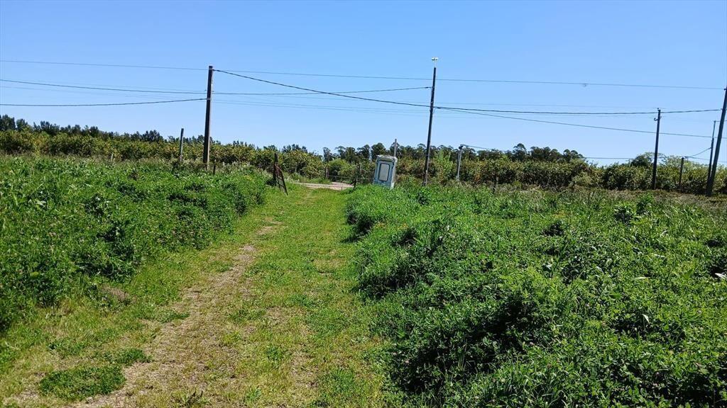 Venta de Terreno y Galpón de 1400m²