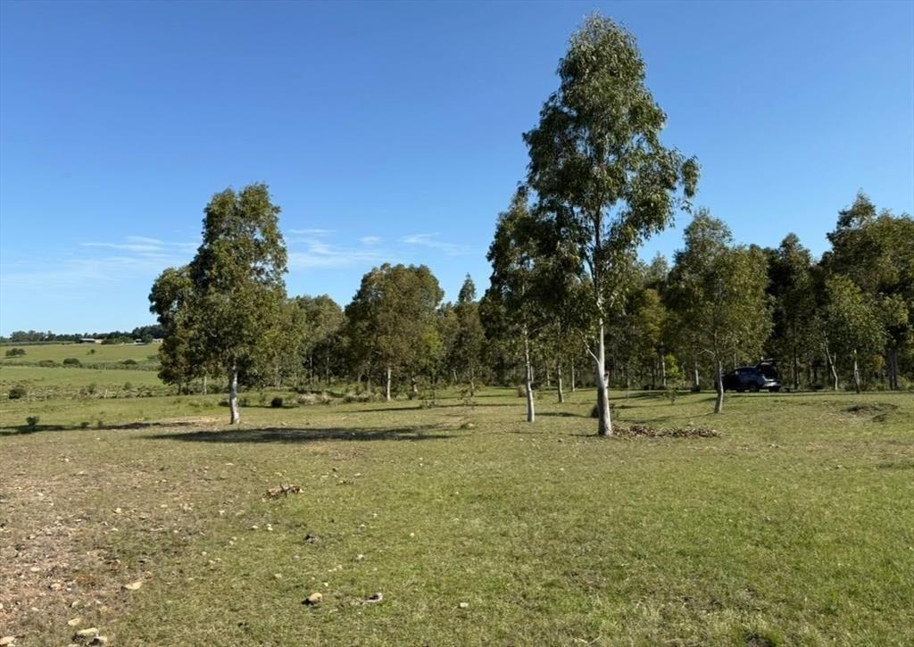 Chacra rural de 5 ha a 30 minutos de Punta del Este
