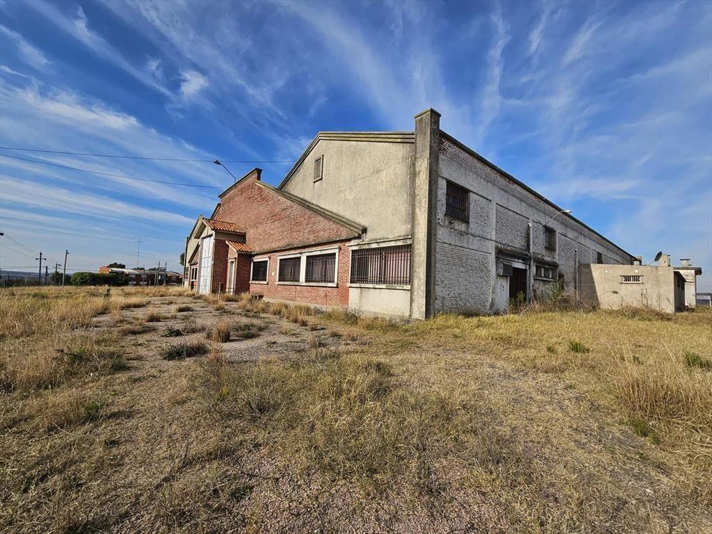 Baltasar Brum y Artigas, 3500 m2 construídos, 7000 m2 de te