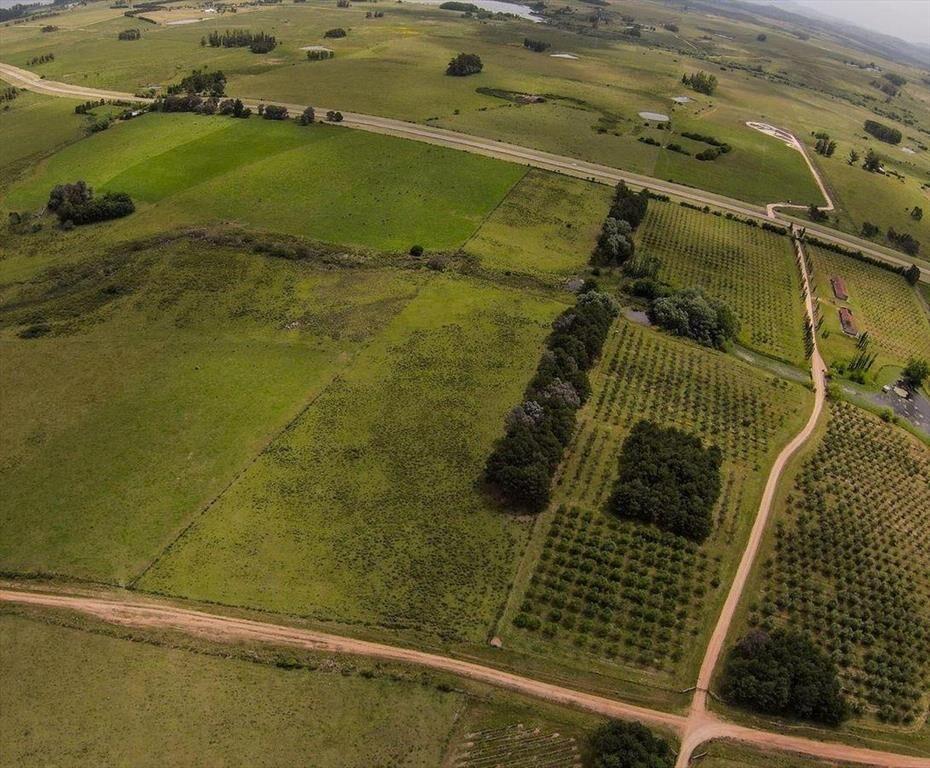 Venta chacra 5 Ha Laguna del Sauce Maldonado