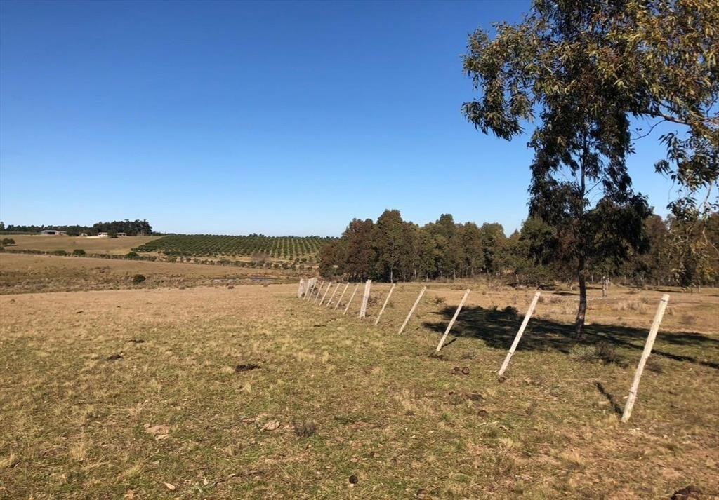 Chacra rural de 5 ha a 30 minutos de Punta del Este