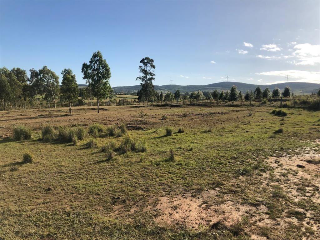Chacra rural de 5 ha a 30 minutos de Punta del Este