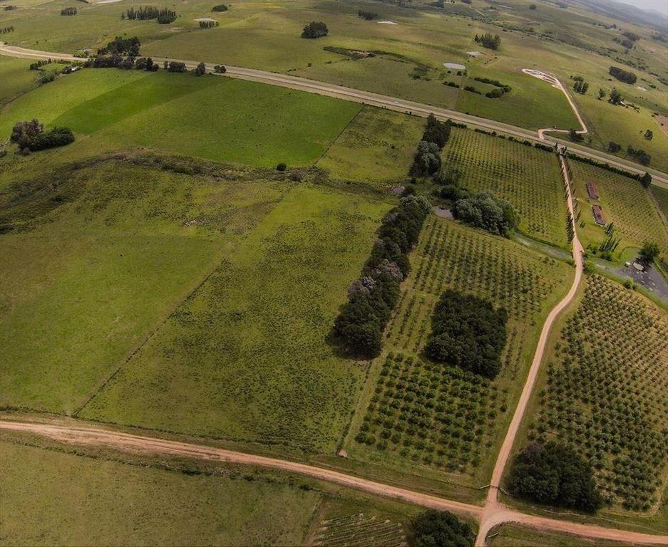 Venta chacra 5 Ha Laguna del Sauce Maldonado