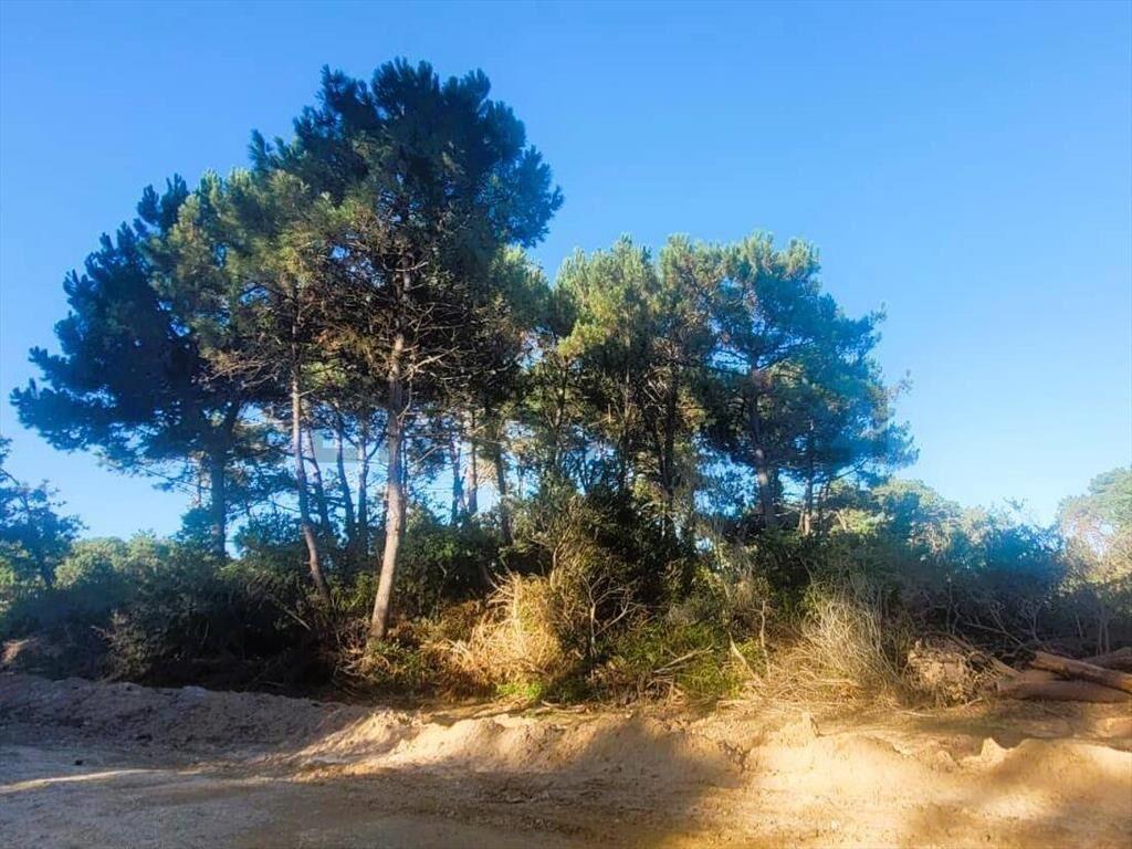 VENTA TERRENO ESQUINA en LA SERENA, La Paloma, ROCHA