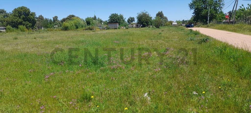 Venta/Terreno/Playa Pascual/Terreno 523 m²/ CERCA DE RUTA...