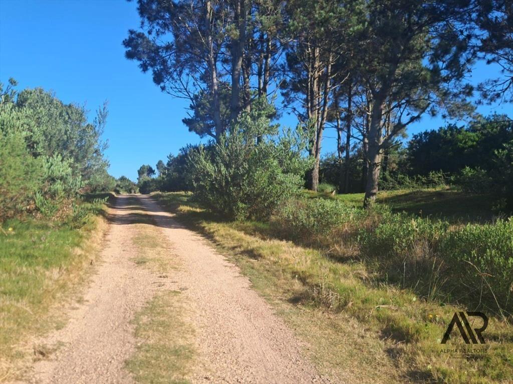 Terreno en venta  en Punta del Diablo - Inversion