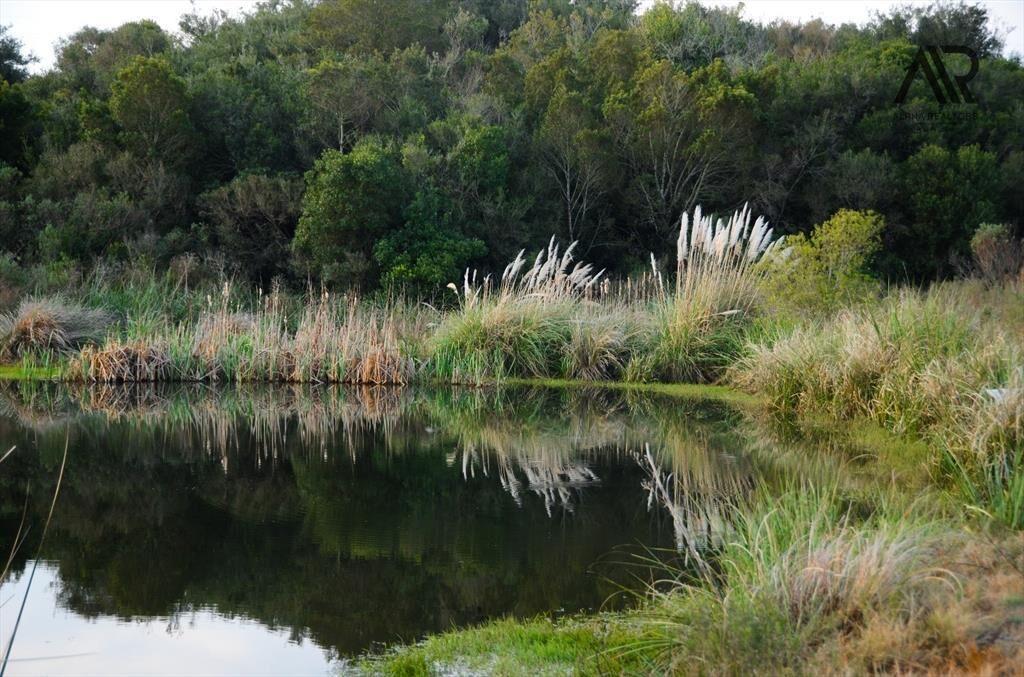 Chacra en venta de 5ha ubicado en Nueva Carrara