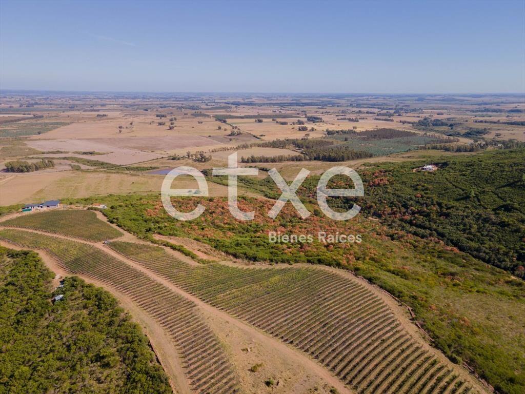 Imperdible Chacra en Venta en Las Sierras...