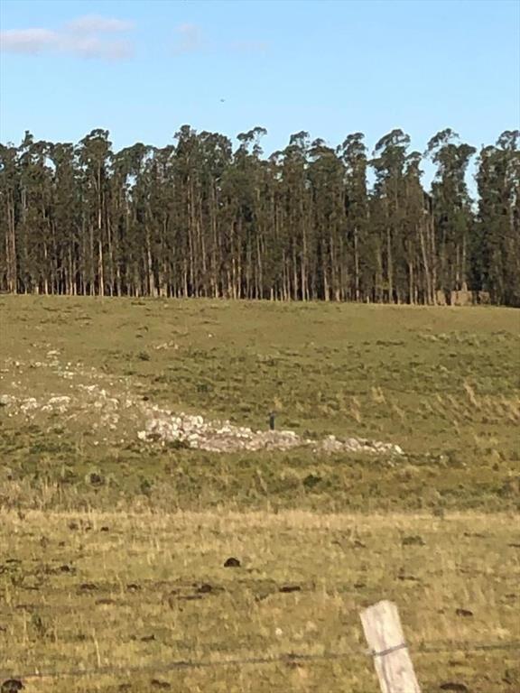 Chacra rural de 5 ha a 30 minutos de Punta del Este