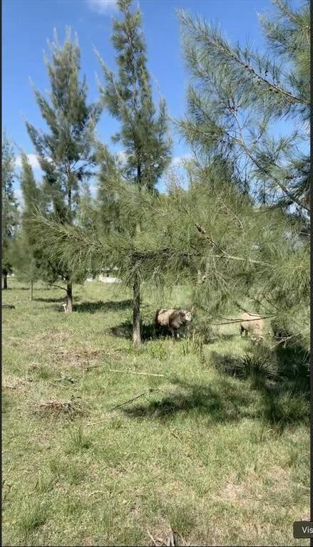Venta de Chacra Rosario Colonia: Más de 1 Hectárea sobre Ru