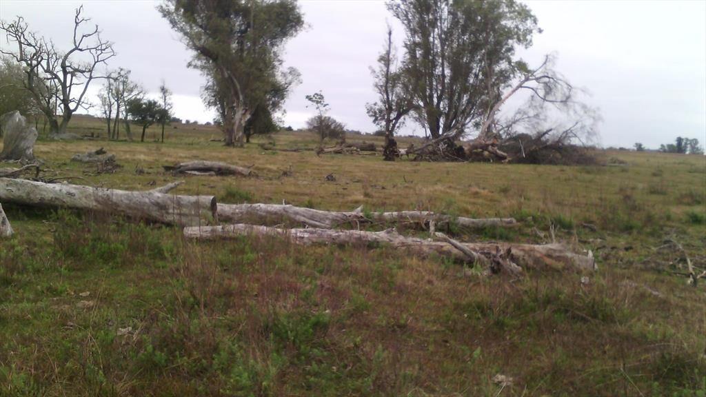 Campo en Salto