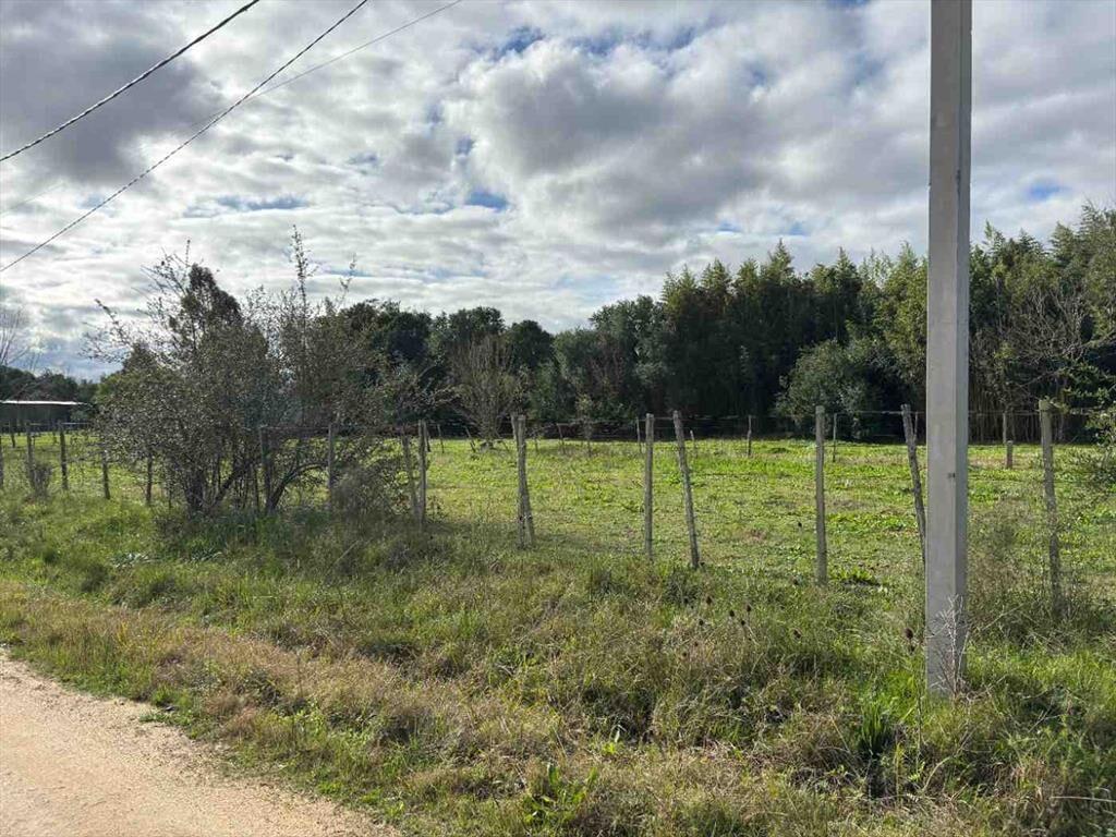 VENTA DE TERRENO EN GONZALEZ SAN JOSE