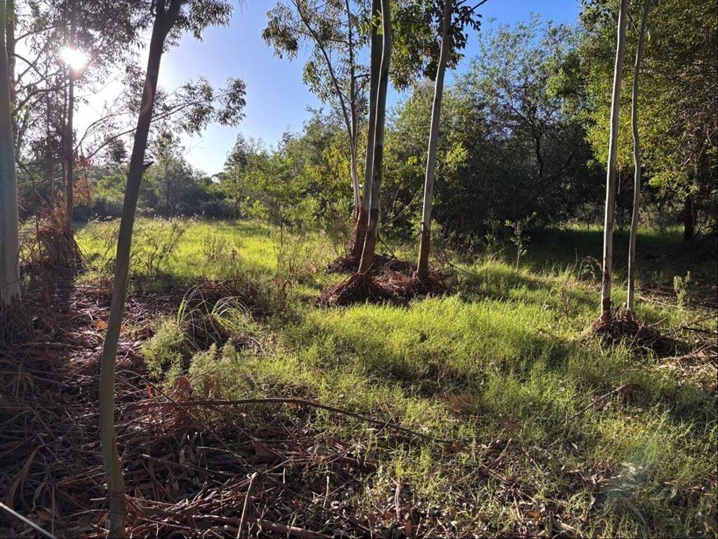 CHACRA 2 HÁ PRÓXIMO RUTA 34 Venta Empalme Olmos Costa de Oro