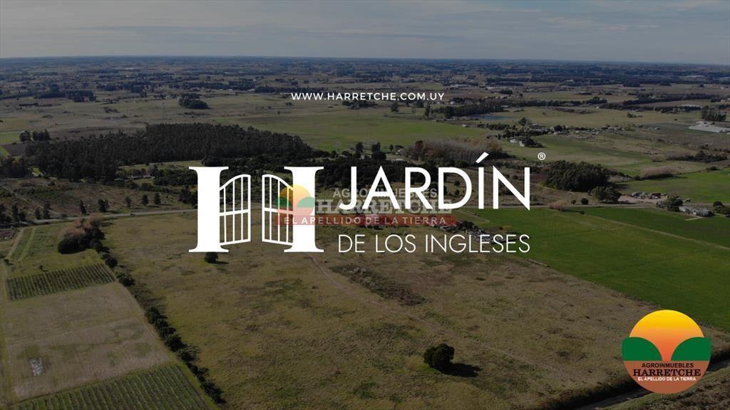 Terrenos en venta en Progreso, fraccionamiento de