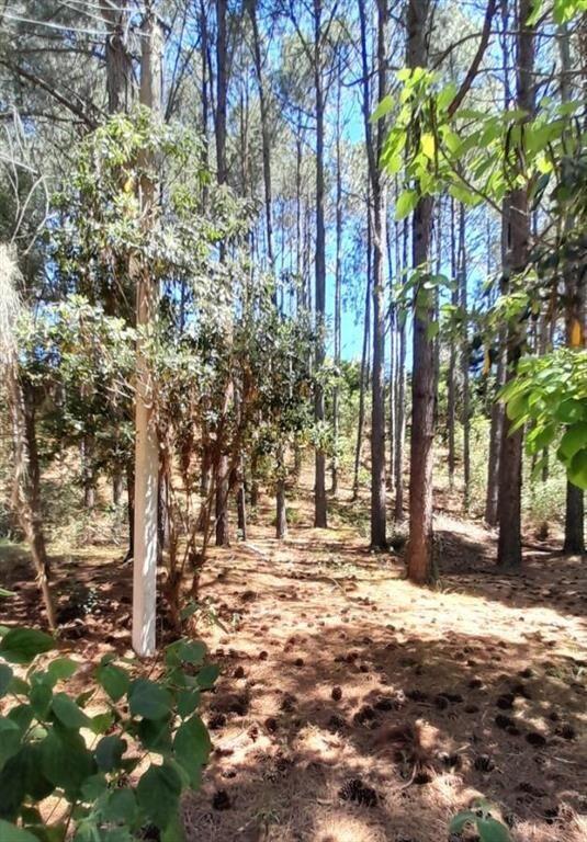 Terreno en Club del Lago