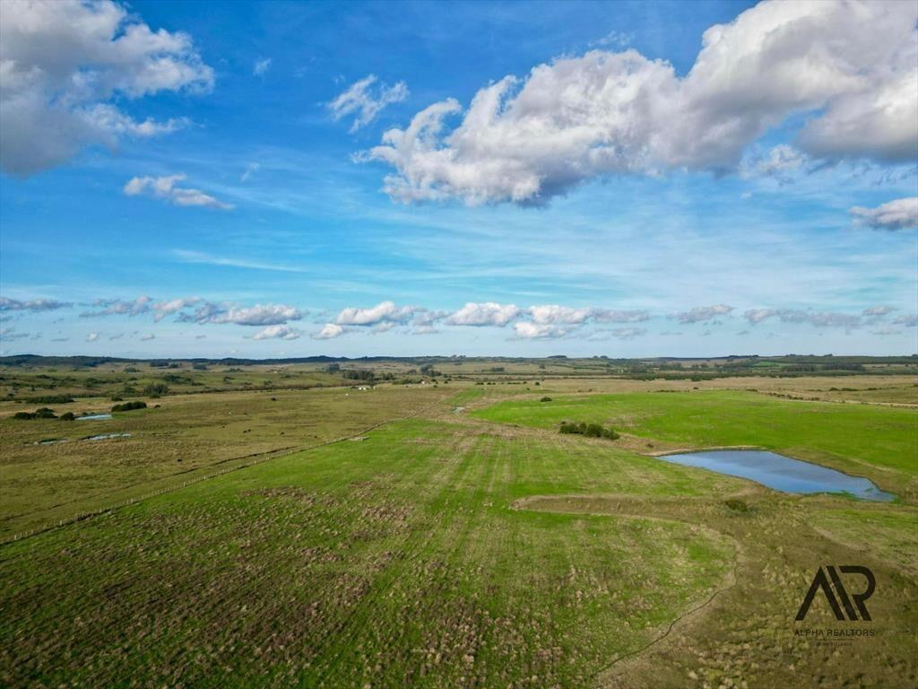 Chacras de 3ha/60 ha en Garzón, con caminería y luz en l...