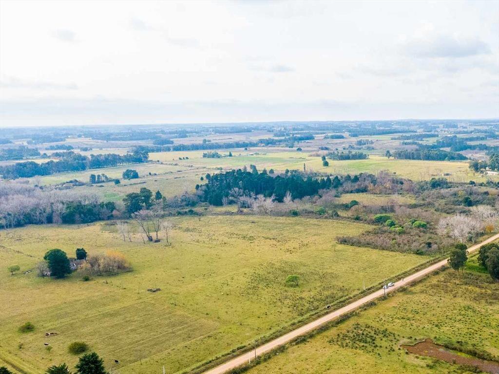 Venta de campo 3Ha. en Rincon de Pando, Canelones