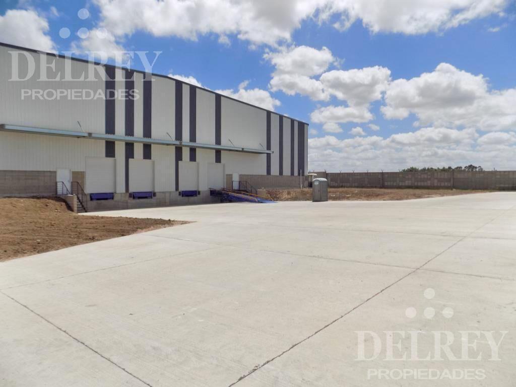 Alquiler Depósito - Cerro DELREY PROPIEDADES