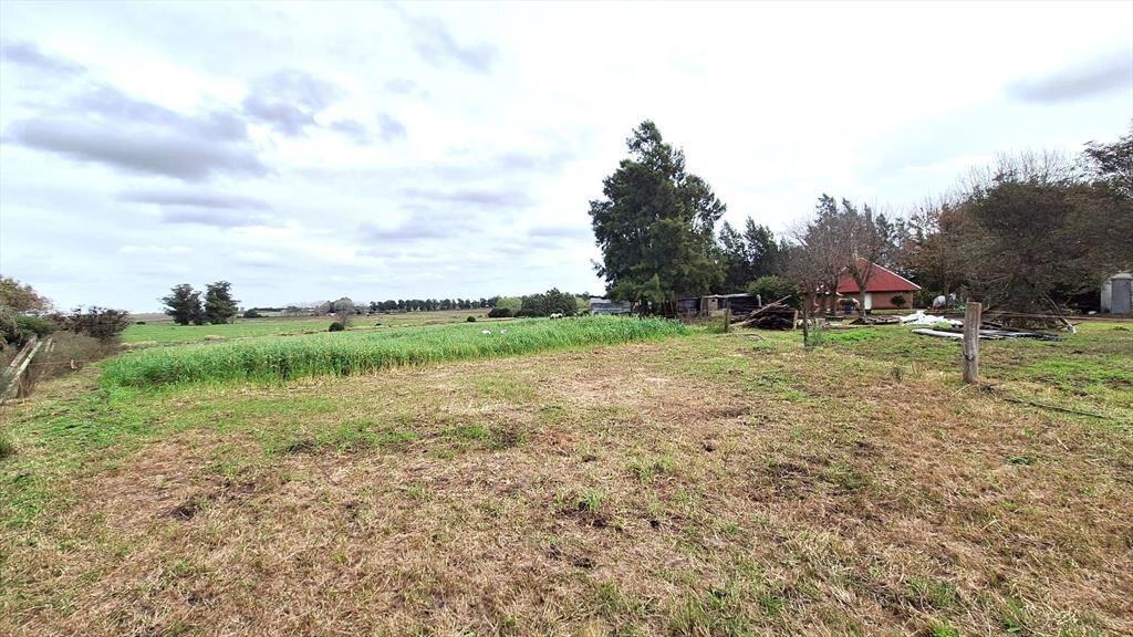 VENTA CHACRA RUTA 36 , KM 42.900 2 TAJAMARES