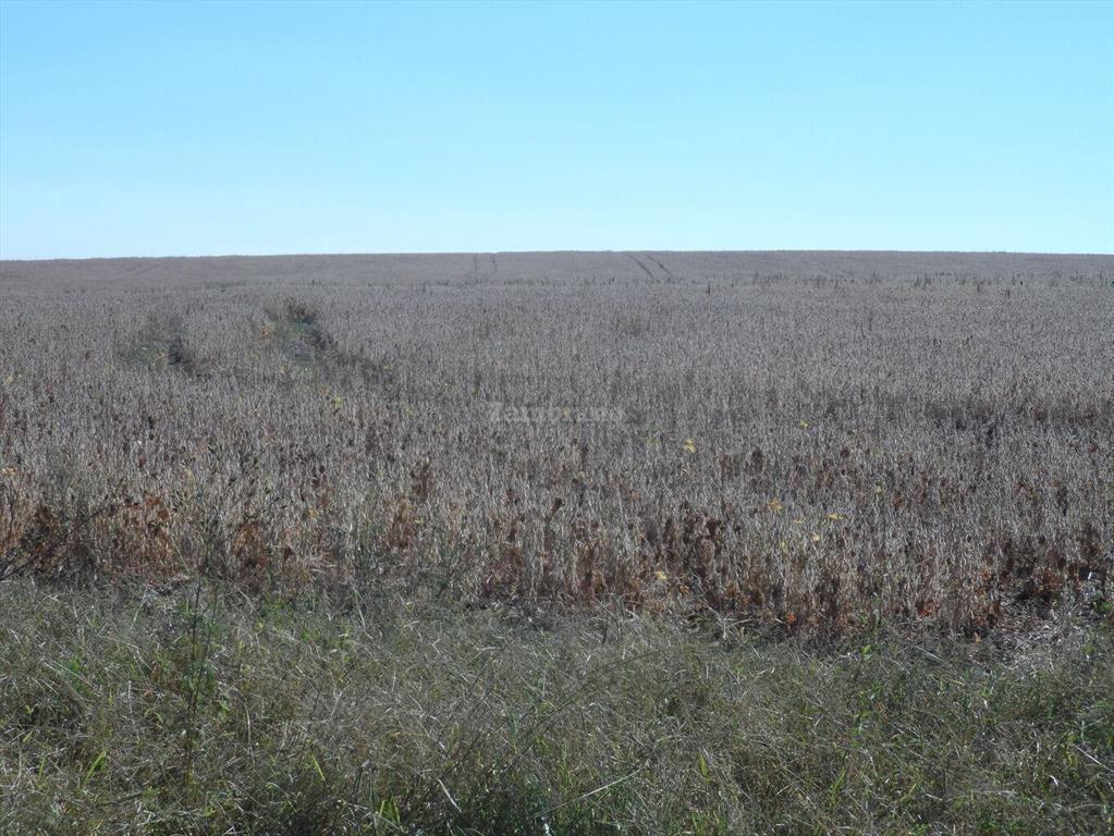 Estancia Agricola Ganadera 1600 ha en Paysandú