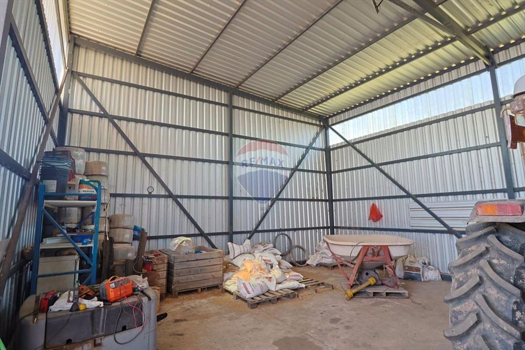 VENTA DE HECTAREAS, CAMPO EN LAS BRUJAS, CANELONES