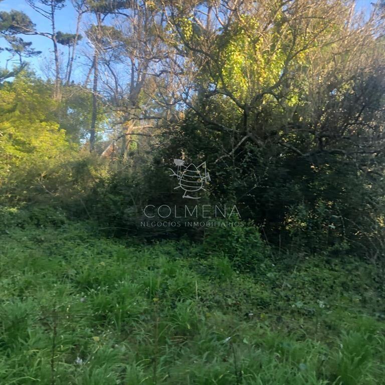 venta de terreno en San Rafael, Punta del Este