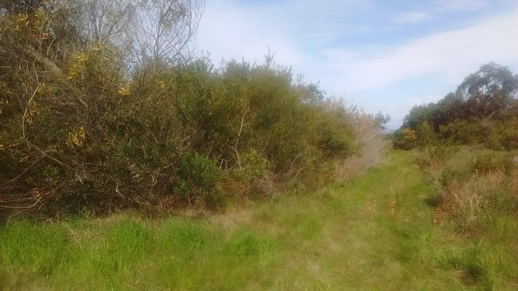 LOTE EN VENTA JUNTO AL MAR EN PUNTA RUBIA