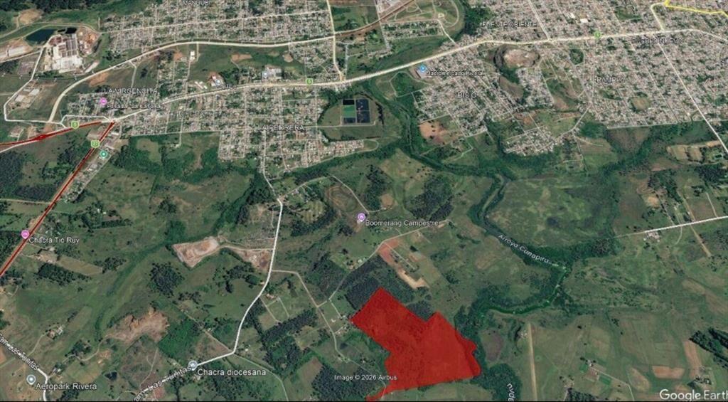 Se Vende Campo 20 Hectáreas en Rivera