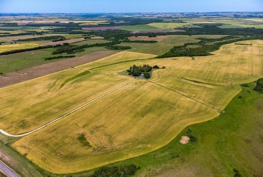 Establecimiento Agrícola Ganadero I Colonia I Ha: 224. IC: