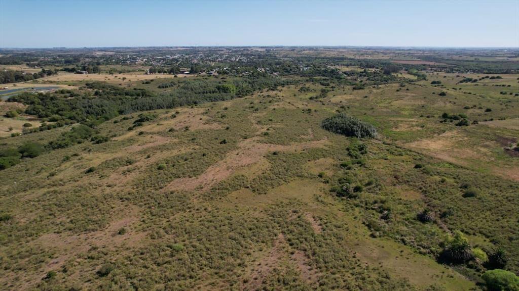Campo en Rosario
