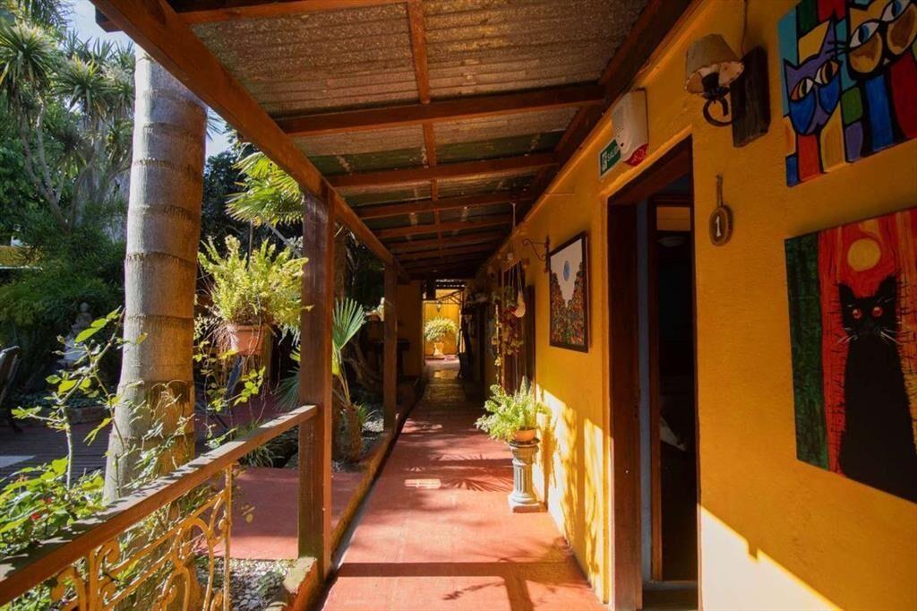 VENTA CASA CON NEGOCIO EL PINAR