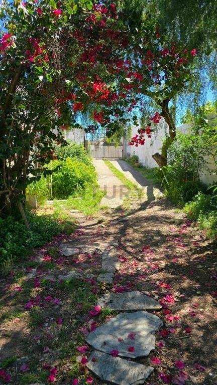 2 Casas mismo padrón-660m2- BUCEO SUR -Propios-jardín/fon...