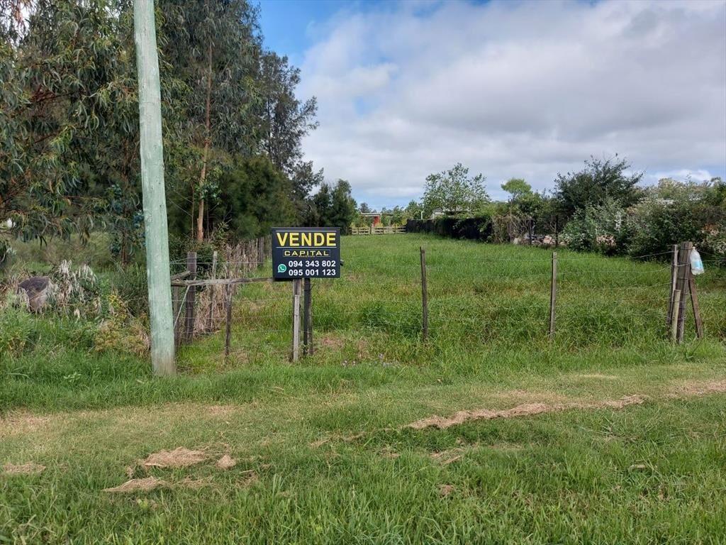 Terreno en venta en camino Cerro Eguzquiza