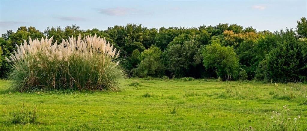 Se Vende Campo 20 Hectáreas en Rivera