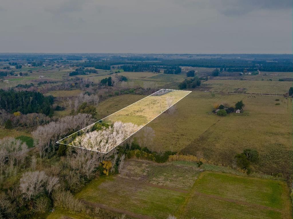 Venta de campo 3Ha. en Rincon de Pando, Canelones