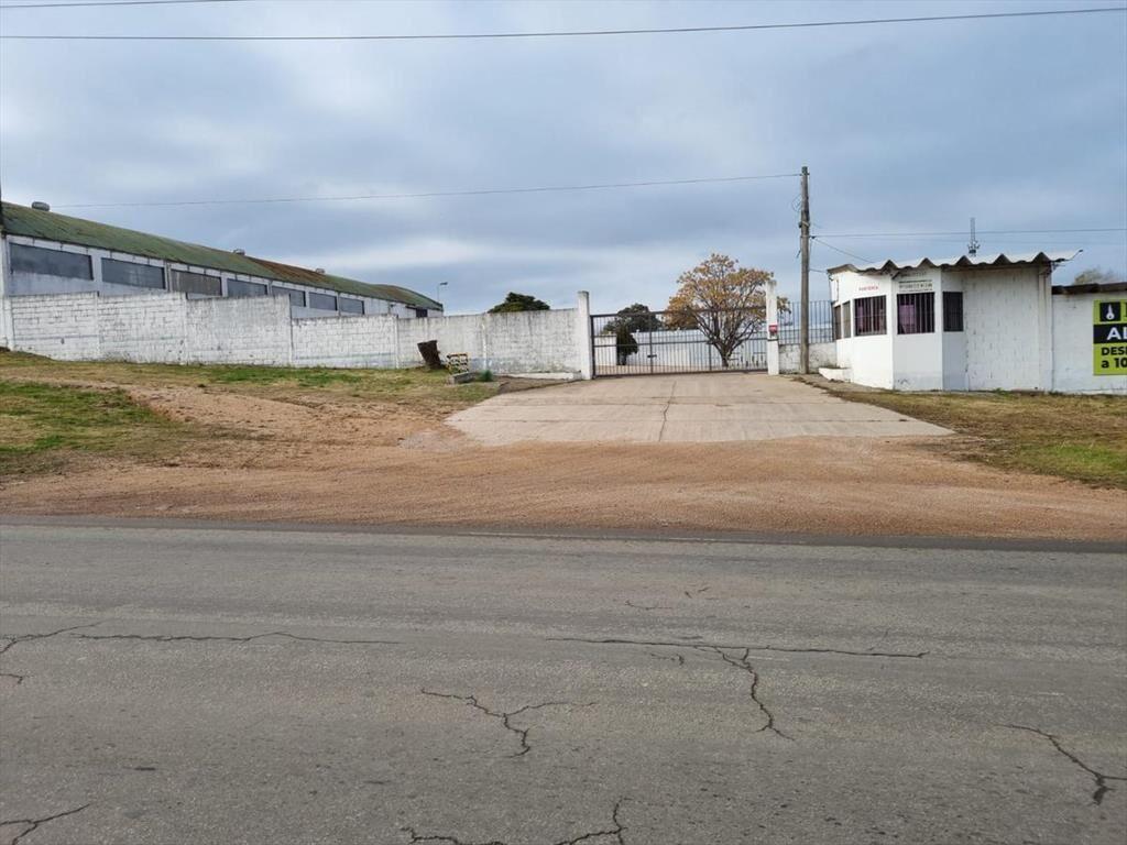 Depósito -Centro Logístico, ruta 67 próximo ruta 5,Las Pied
